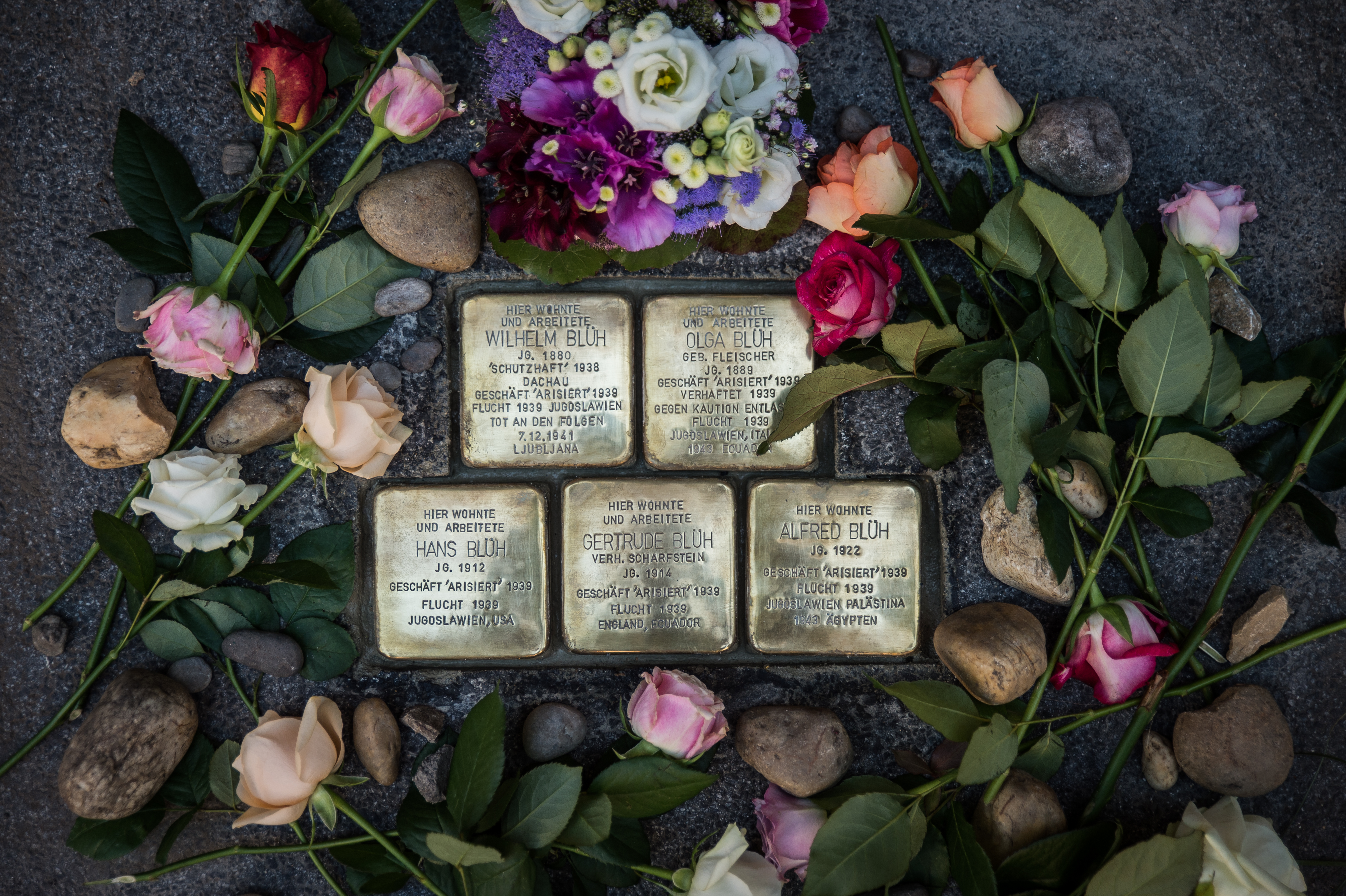 Stolpersteine der Familie Blüh in der Annenstraße 31