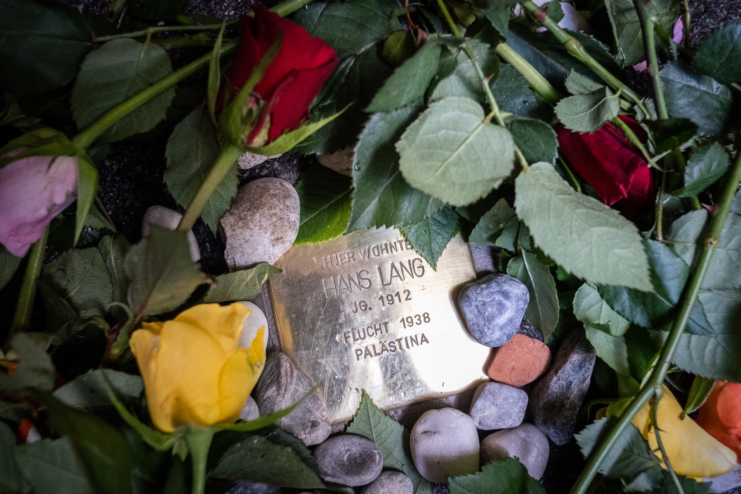 Stolperstein für Hans Lang in der Kaiserfeldg. 21, Verlegung am 7.9. 2022, Foto_ Alexander Danner