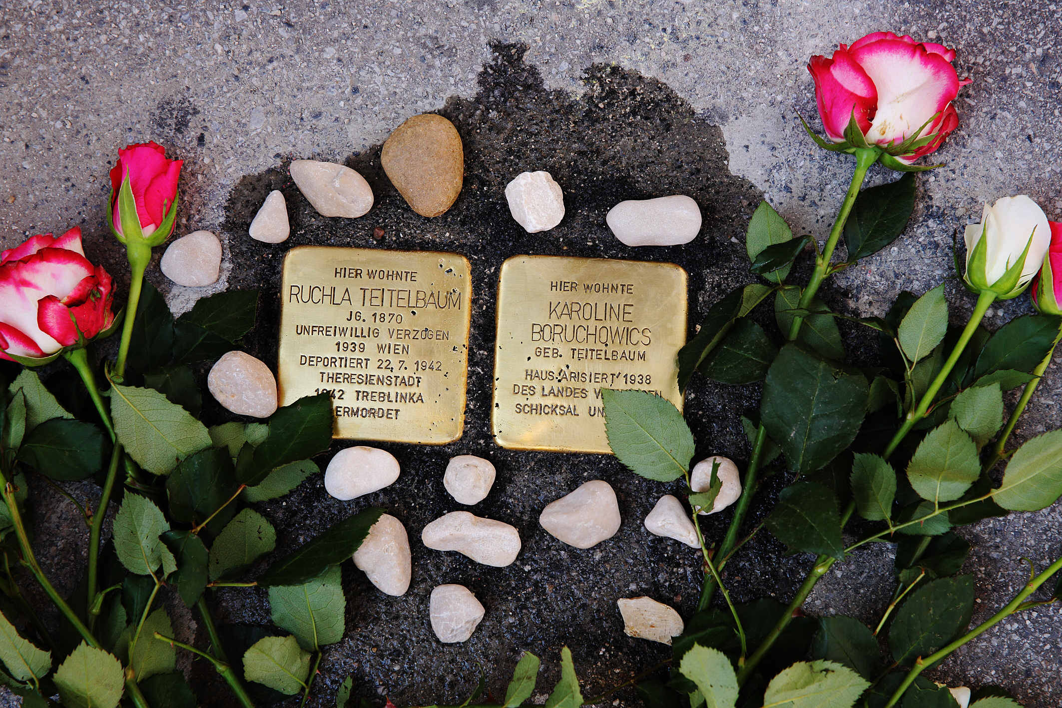 Stolpersteine für Karoline Boruchowics und Schwiegermutter Ruchla Teitelbaum Adresse: Josef-Huber-Gasse 4 Foto: J.J. Kucek