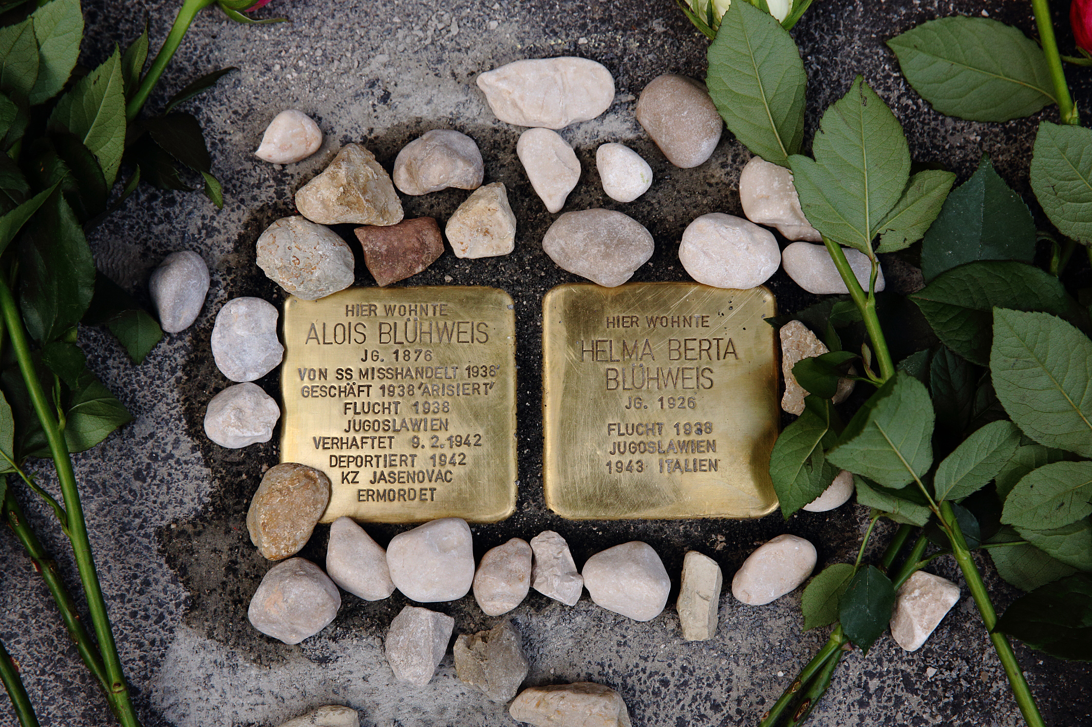 Stolpersteine für Alois Blühweis und Tochter Helma Verlegung am 16. August 2016 mit Enkeltochter Susan Goldmark Foto: J.J. Kucek