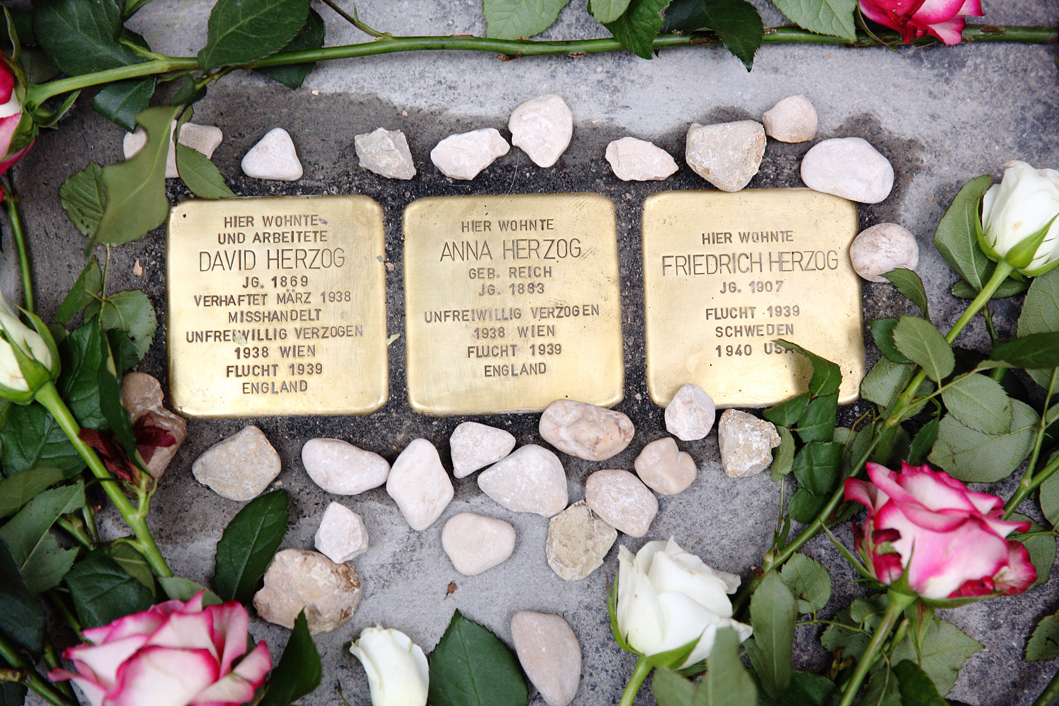 Stolpersteine für die Familie Herzog im August 2016 Foto: J.J. Kucek