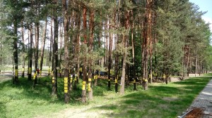 Wald der Erinnerung in Maly Trostinec bei Minsk am 23. Mai 2018, Foto: DR. Herwig Brandstetter
